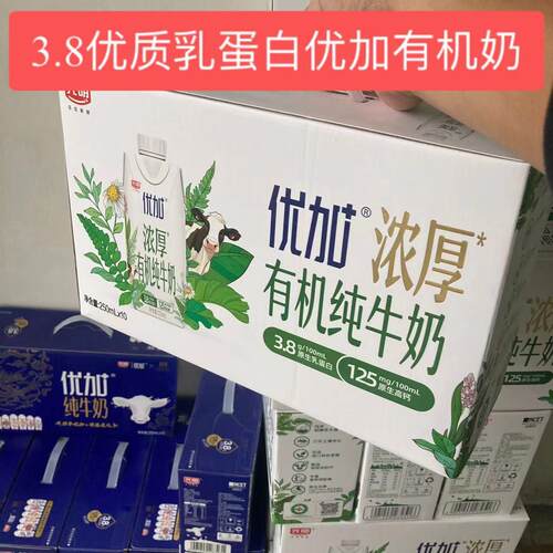 1月份产光明优加有机纯牛奶浓厚3.8乳蛋白250ml*10瓶早餐
