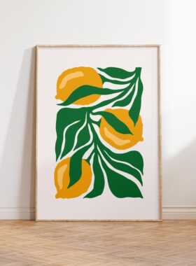 加州橙色罂粟艺术版画 |抽象花卉插画
