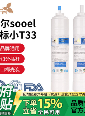 【政府补贴】苏尔金标后置活性炭高碘值一体快接2分3分8寸小T33