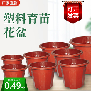 塑料花盆厂家直销加厚耐用大小号自吸育苗盆家用种植花盆特价 清仓