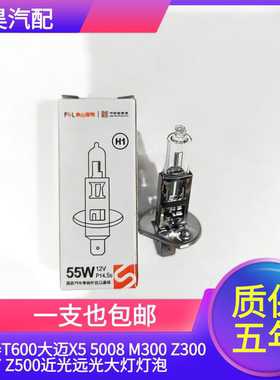 适用众泰T600大迈X5 5008 M300 Z300 SR7 Z500近光远光大灯灯泡