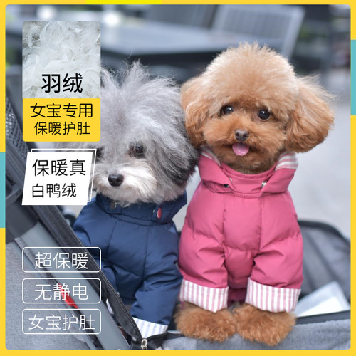 丑丑羽绒服加厚保暖包肚冬装猫狗