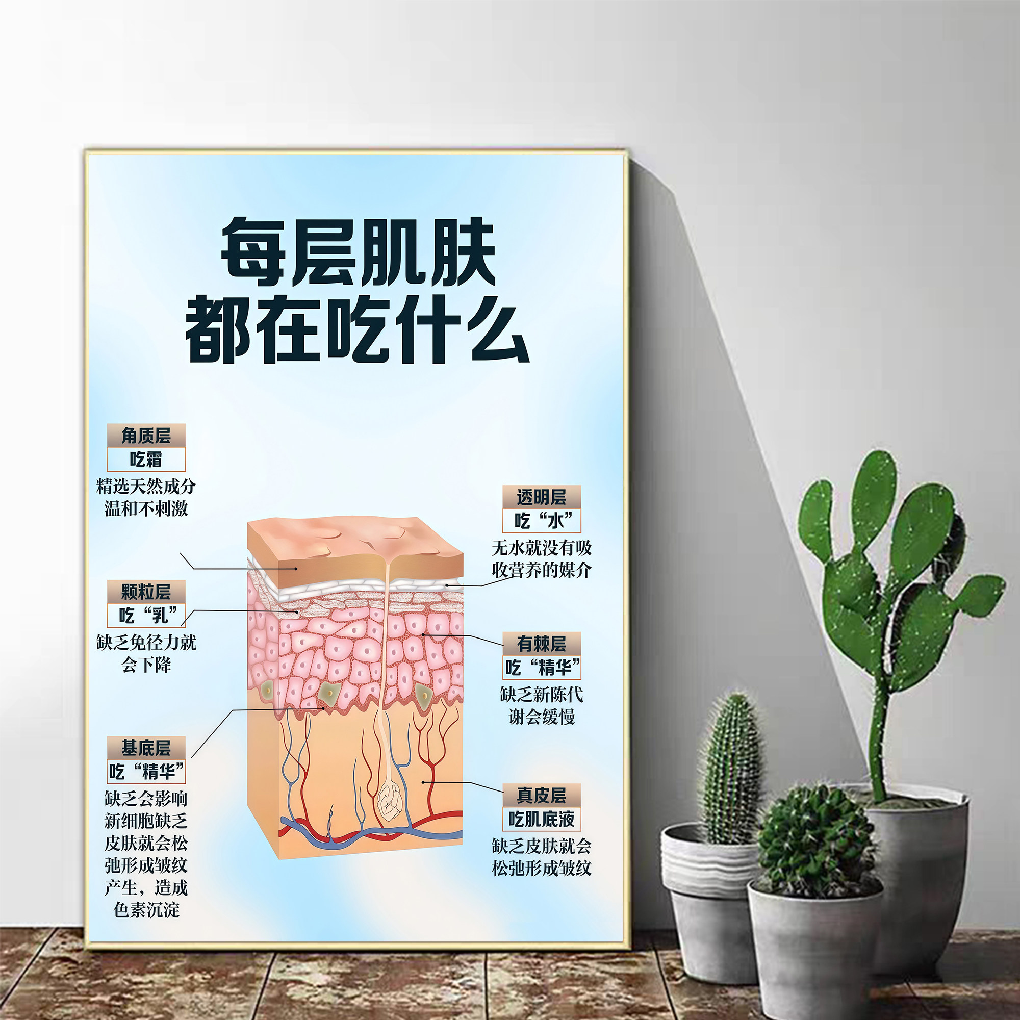 分层抗衰海报医美咨询室挂画皮肤祛皱图片骨相美学广告微整形壁画