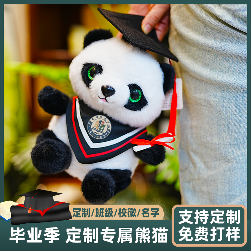 毕业熊猫公仔博士熊玩偶定制logo