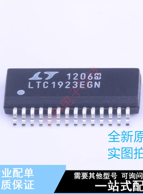 栅极驱动IC LT1923EGN#pbf SSOP-28 ADI 全新原装正品