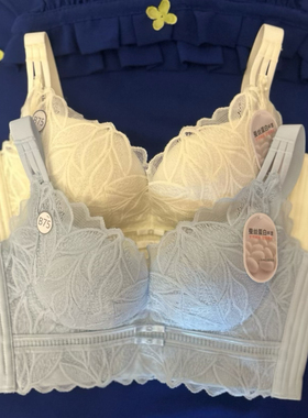 都市丽人蚕丝蛋白杯文胸LJ41A6聚拢增胸防空杯无刚圈A加加厚B中厚