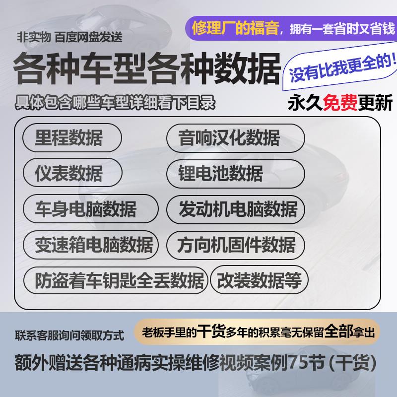防盗着车里程音响仪表发动机车身变速箱电脑锂电池方向机固件数据