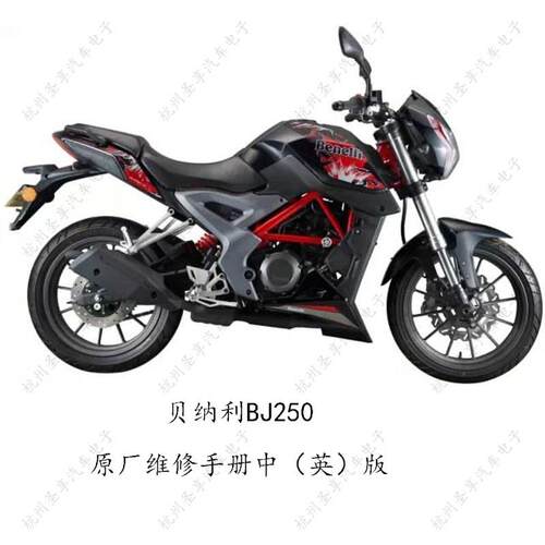 机车摩托车维修资料贝纳利BJ250维修手册资料中(英)文版详细