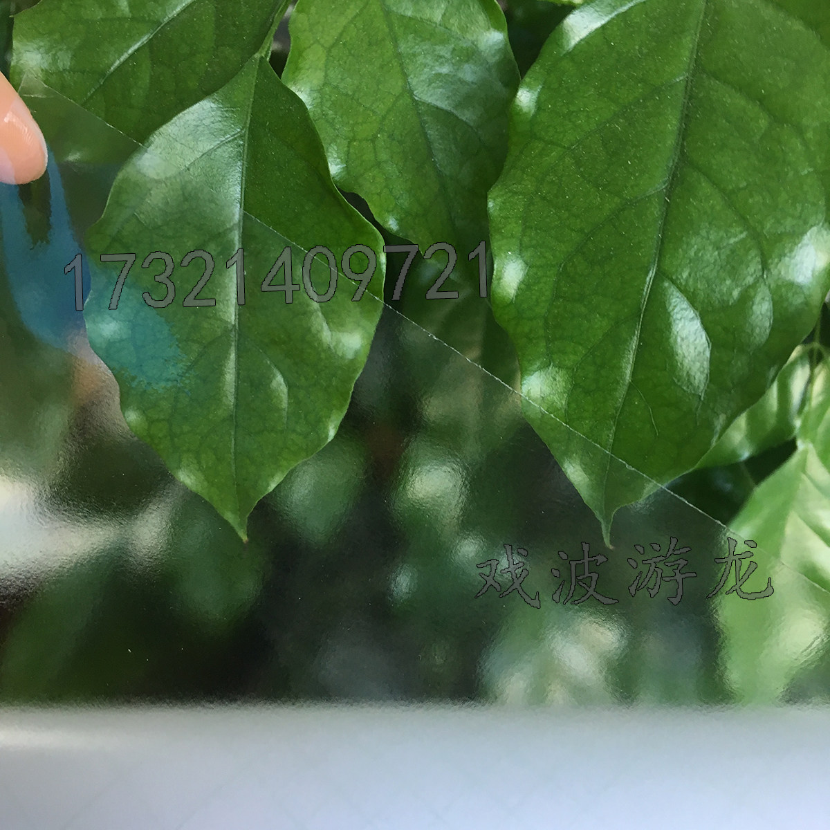 上海冷裱膜140克光膜亮膜高透明写真膜玻璃膜 广告画面保护膜卷筒