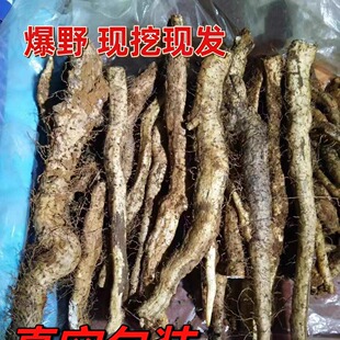 广西纯野生山药新鲜粉糯野山药 老野山薯怀山土淮山