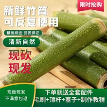 天然竹筒饭粽子专用竹筒摆摊商用家用纯竹筒饭竹筒活塞式专用模具