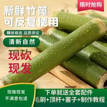 专用模具 天然竹筒饭粽子专用竹筒摆摊商用家用纯竹筒饭竹筒活塞式