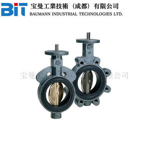 Keystone Figure 1/2 重型工业弹性阀座蝶阀对夹式和凸耳阀体设计