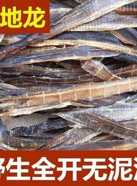 地龙中药材全正品开干地龙片地龙粉食用广西广地龙蚯蚓干地龙干