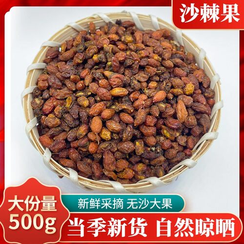 新疆沙棘500克包邮新货沙棘