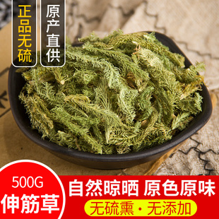 伸筋草500克正品中药材小伸筋草舒筋草泡脚另售透骨草远志益智仁