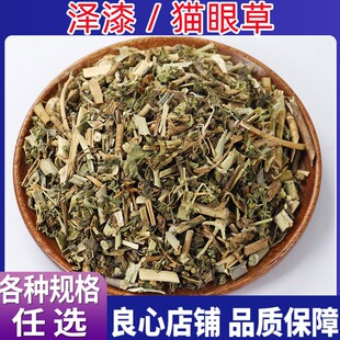 中药材 野生猫眼草泽漆耳叶大戟猫耳眼 猫儿草新鲜干货 500克包邮
