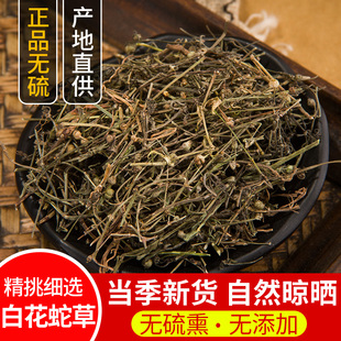 白花蛇草 天然中药材正品白花蛇舌草新品干货500克包邮另有半枝莲