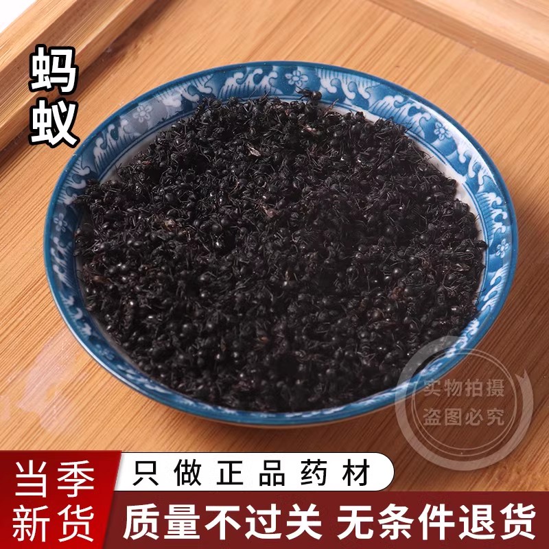 黑蚂蚁500g拟黑多刺蚁长白山中药材干晒正品新货养身泡酒料磨粉