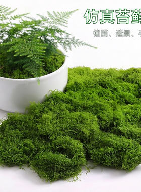 仿真苔藓微景观人造草坪