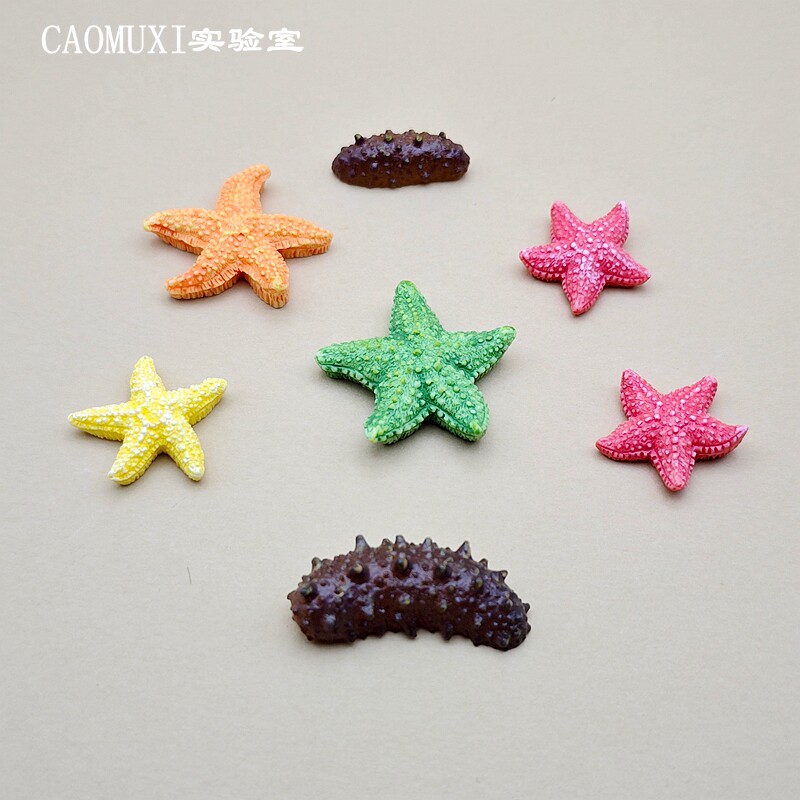 仿真小海参海星模型树脂材质鱼缸沙滩造景微景观摆件迷你桌面装饰图片