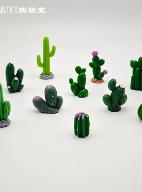 创意仿真植物模型沙漠仙人掌多肉小号桌面礼物装饰微景观摆件造景