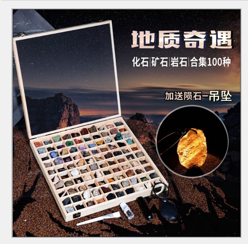 100种地质标本礼盒古生物化石矿石岩石头水晶标本原石科普教学礼