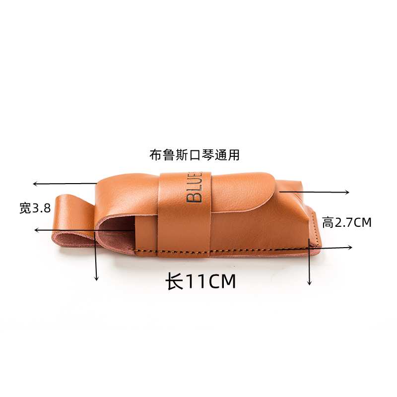 笨笨口琴独家定制十孔布鲁斯通用专业手工口琴包三只单只装热卖