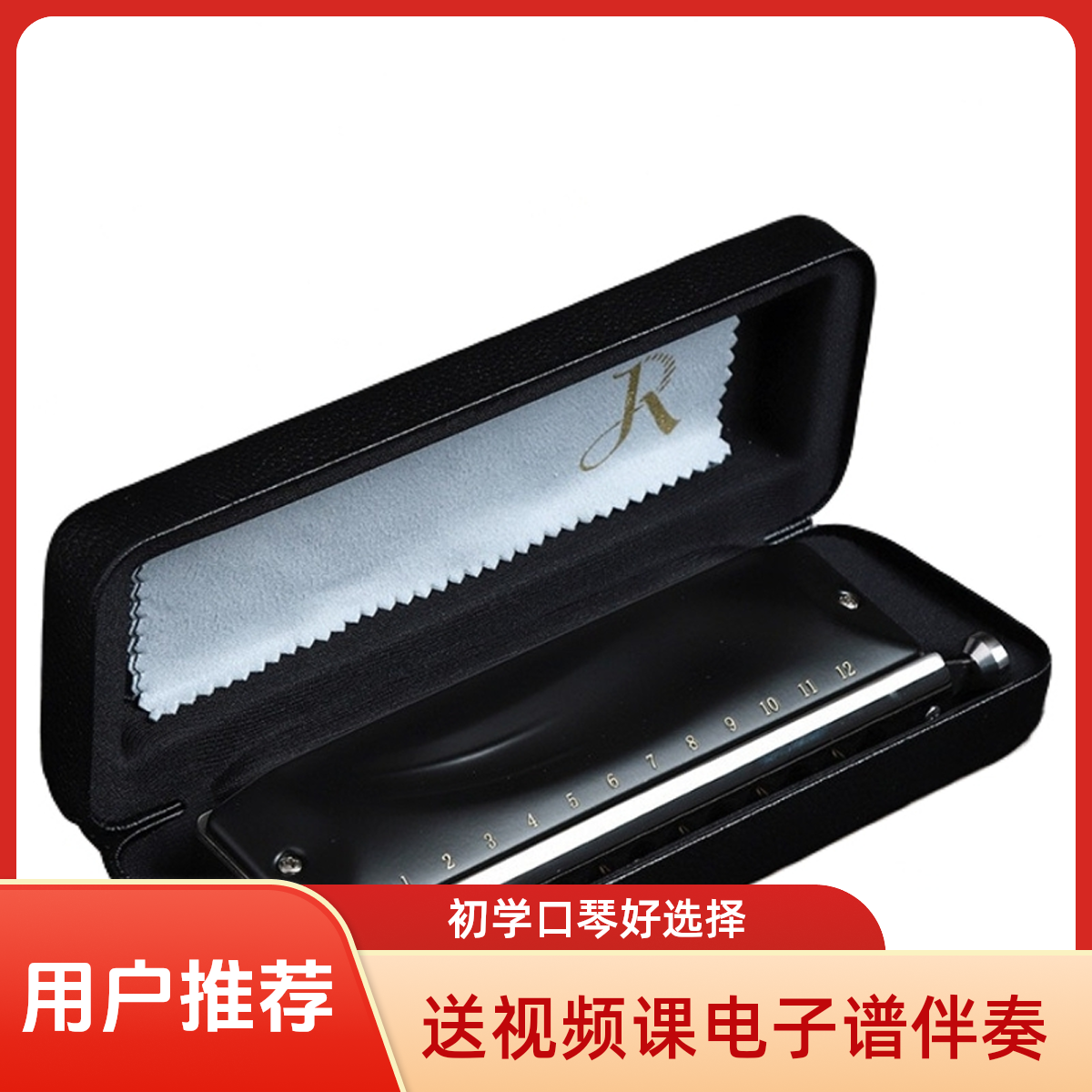 笨笨老师嘉德瑞12孔半音阶口琴