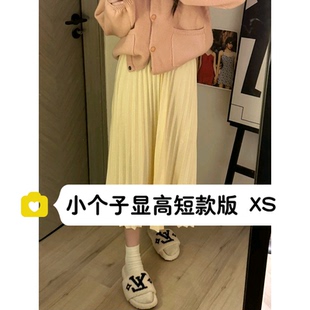 小个子秋冬搭配毛衣的裙子150韩版百搭压褶百褶中长款半身裙女xs