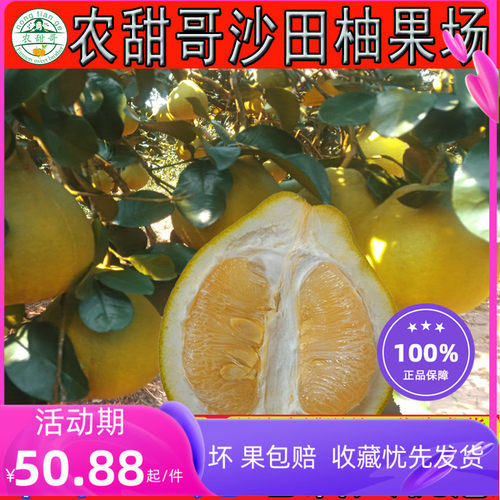 广西容县正宗沙田柚白肉柚子纯甜不酸新鲜当季水果礼盒装送礼包邮