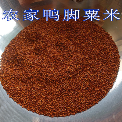 黄小米鸭脚掺子龙爪食品五谷杂粮