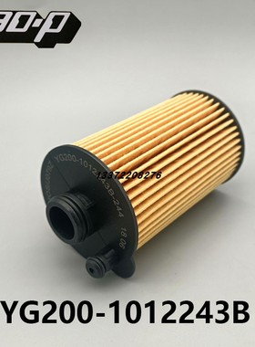 YG200-1012243B-244机滤适配玉柴国四国五机油滤清器 2449H000355