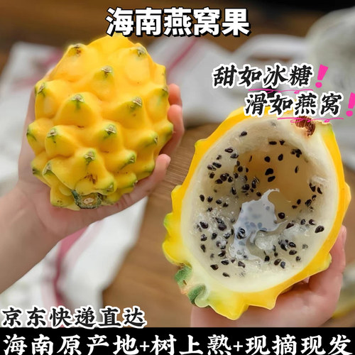 海南燕窝果麒麟果精品礼盒装送礼