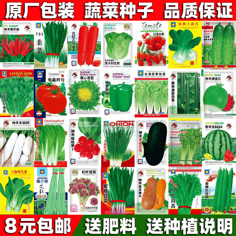 蔬菜种子四季播盆栽阳台庭院黄瓜辣椒草莓香菜种籽孑大全-第5张图片-提都小院