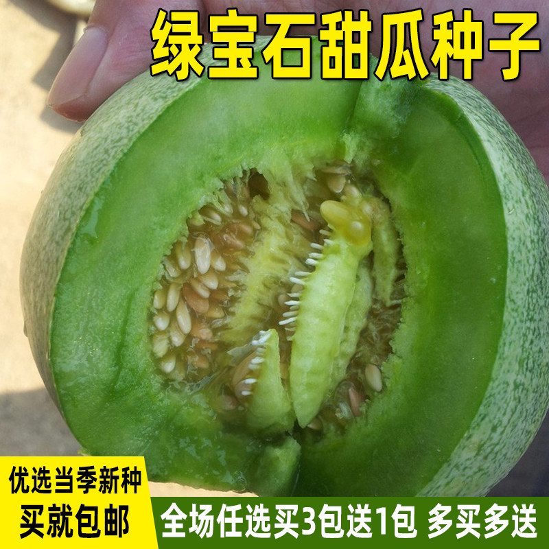绿宝石甜瓜种子羊角蜜薄皮绿宝甜瓜香瓜种籽春夏四季水果蔬菜种孑_虎窝淘