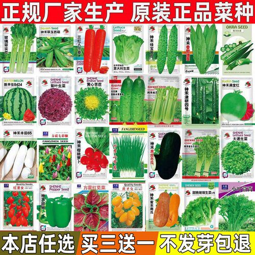 蔬菜种子大全四季阳台盆栽生菜黄瓜西瓜香菜韭菜豆角庭院菜籽种孑 - 封面