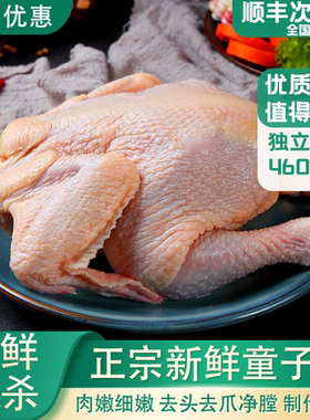 新鲜童子鸡西装鸡商用20只冷冻全鸡生鲜整鸡三黄鸡白条鸡冷冻批发