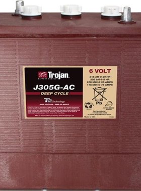 Trojan邱健蓄电池电动叉车观光车高尔夫球车J305G-AC 6V315AH电池