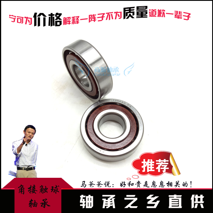 角接触球轴承7304 7305 7306 7307 7308 7309 7310 7311 7312ACM