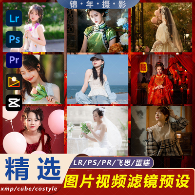 LR预设PS滤镜像素蛋糕飞思PR调色包手机Lightroom胶片人像剪映LUT