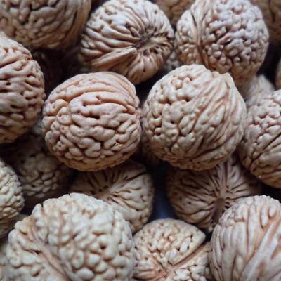 野生佛念珠手持龙纹桃核藏式光珠