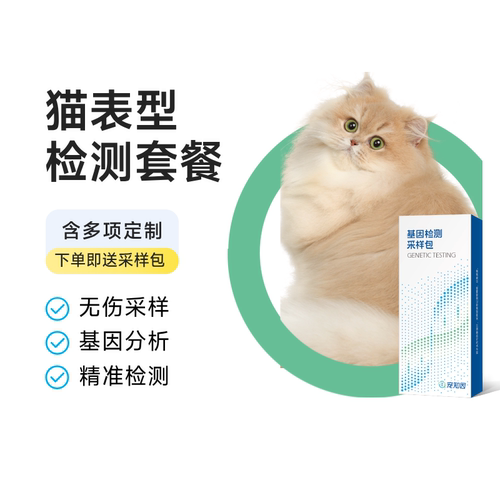 鉴定猫毛色紫蓝金小鹿色宠知因