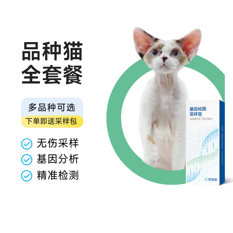 猫舍定制品种猫基因检测全套餐