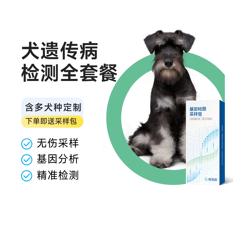 犬舍定制边牧雪纳瑞遗传病全套餐