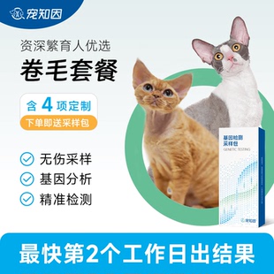 寵知因貓舍定制卷毛套餐 德文塞凱柯尼斯 預(yù)判后代卷毛 表型鑒定