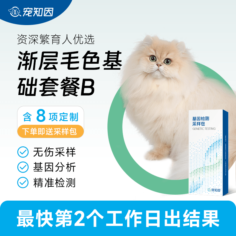 宠知因 猫舍定制渐层毛色基础套餐B 宠物猫咪基因检测