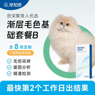 猫舍定制渐层毛色基础套餐B 宠知因 宠物猫咪基因检测