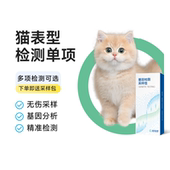 宠知因 猫表型宠物基因检测毛色单项渐层12色长毛麻纹银色重点色