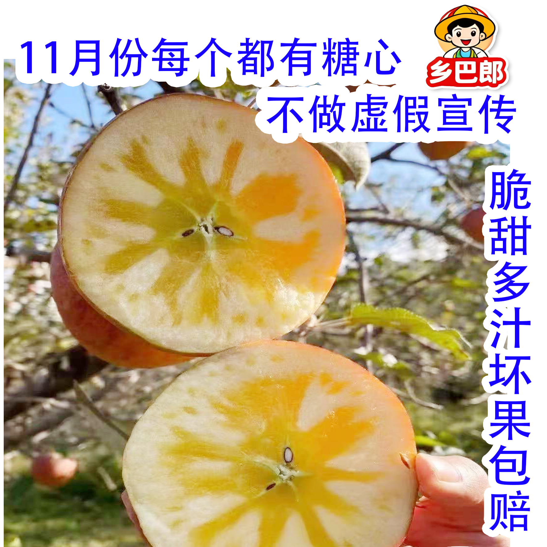 新疆阿克苏冰糖心苹果产地直发